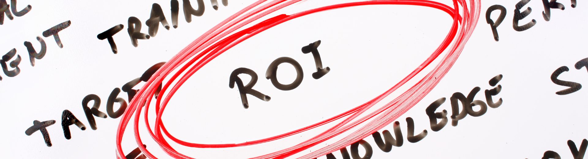 O que é ROI