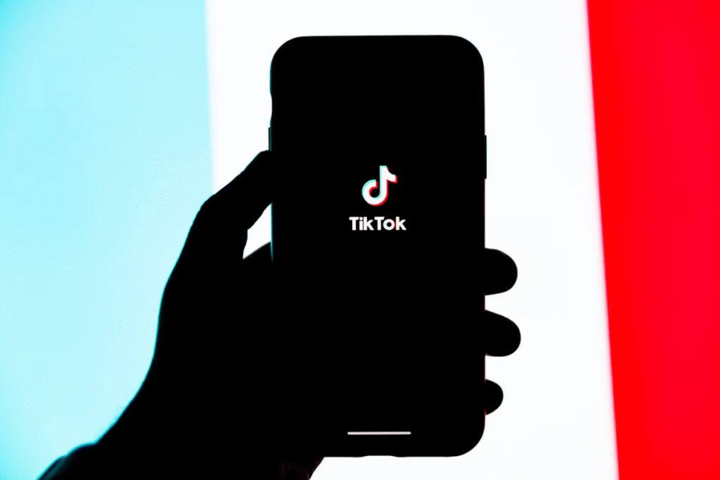 Tráfego Pago no TikTok Ads | Roas